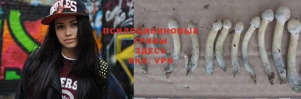mdpv Алзамай