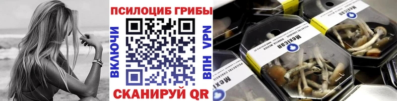 Псилоцибиновые грибы прущие грибы  Оленегорск 